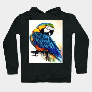 Jinx - Blue Gold Macaw painting Hoodie